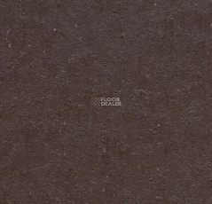 Forbo Marmoleum Solid Cocoa 3581-358135 dark chocolate фото 1 | FLOORDEALER